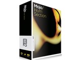 MOJO HORN SECTION