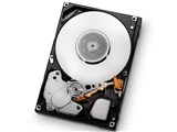 HUS156045VLS600 (450GB 15000 SAS2.0)
