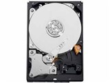 WD5000AVDS (500GB SATA300) ���i�摜