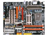 HYBRID P45 ION-T2A2