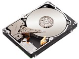 ST31000424SS (1TB 7200 SAS2.0)