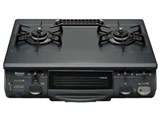 RT-660GFTS-R 12A13A