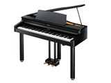 Roland Piano Digital RG-1F ���i�摜