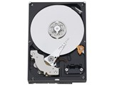 WD3200AACS [320GB SATA300] ���i�摜