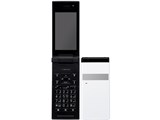 docomo STYLE series P-06C [zCg] i摜