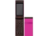 docomo STYLE series P-06C [}[^]