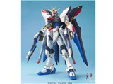 MG 1/100 �@����m�K���_��SEED DESTINY �X�g���C�N�t���[�_���K���_��