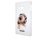 THE DOG PIP4PC000D000 [�_�b�N�X�t���h]