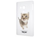 THE CAT PIP4PC000C000 [�A�����J���V���[�g�w�A�[]