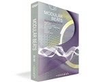 MODULAR BEATS