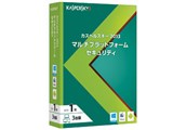 JXyXL[ 2013 }`vbgtH[ ZLeB 1N3 i摜