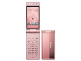 docomo STYLE series P-01E [sNS[h] i摜