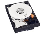 WD5000AZLX [500GB SATA600 7200] i摜