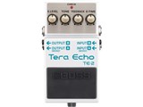 Tera Echo TE-2 ���i�摜