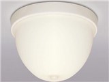 XME-151701L