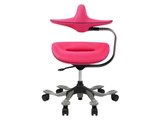 �p�������@�\�t�����~�`�F�A(ipole) 959295 �s���N [�x�����]��]