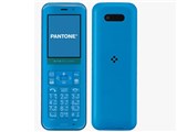 PANTONE WX03SH [�u���[]