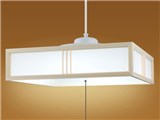 LIFELED'S HCDB0803