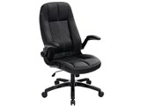 Executive EX-24 Intelligente [�u���b�N]