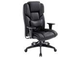 PREMIUM EX-21 Buffelhaut [�u���b�N]