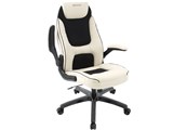 Executive BU-91 Delphin [�X�m�[�z���C�g×�u���b�N]
