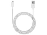 SB-CA30-NEWI/WH [�z���C�g]