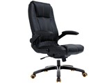 Executive BL-81 [�u���b�N&�I�����W]