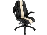 GT BT-RC11 Rondine [�u���b�N×�z���C�g]