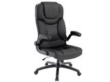 Executive EX-16 Fels [�u���b�N]