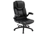 Executive EX-17 Arnee [�u���b�N]