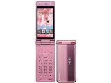 docomo P-01F [sN] i摜