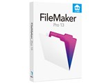 FileMaker Pro 13 �A�J�f�~�b�N(�w���E���E������) ���i�摜