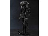 S.H.MonsterArts �G�C���A�� �r�b�O�`���b�v ���i�摜