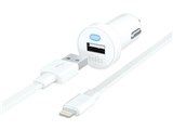 RK-CCF42W [�z���C�g]