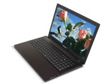 FRNX717/DsQ NX�V���[�Y �p�t�H�[�}���X���f��