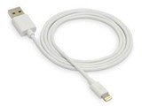 ESLC1WH [�z���C�g]