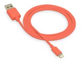 ESLC1PK [�s���N]