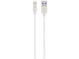 F8J144bt04-WHT [�z���C�g]