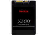 X300 SD7SB6S-256G-1122 製品画像