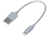 TLGNG10CM-SL [�V���o�[]