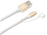 PG-LC12M03GD [�S�[���h]