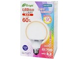 E-Bright LDG8L-G DAS20 [�d���F]