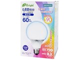 E-Bright LDG8N-G DAS20 [�����F]