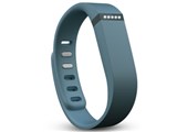 Fitbit Flex FB401SL-JPN [�X���[�g]