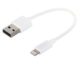 BSIPC11UL01WH [�z���C�g]