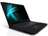 17X7400-i5-RE [Windows 10 Home����]