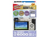 DGF2-SA6000