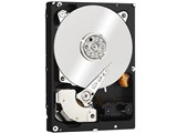 WD1001FYYG [1TB 7200 SAS2.0] ���i�摜