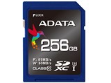 ASDX256GUI3CL10-R [256GB] ���i�摜