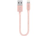 F8J144BT06INC00 [���[�Y�S�[���h]